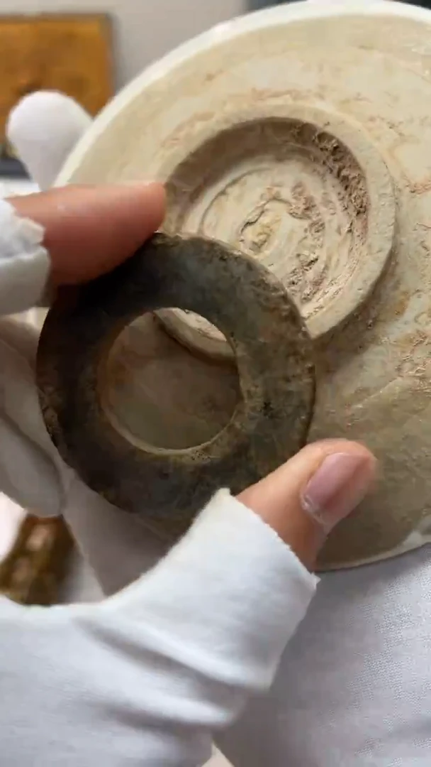 瓷片瓷器  瓷片儿   瓷