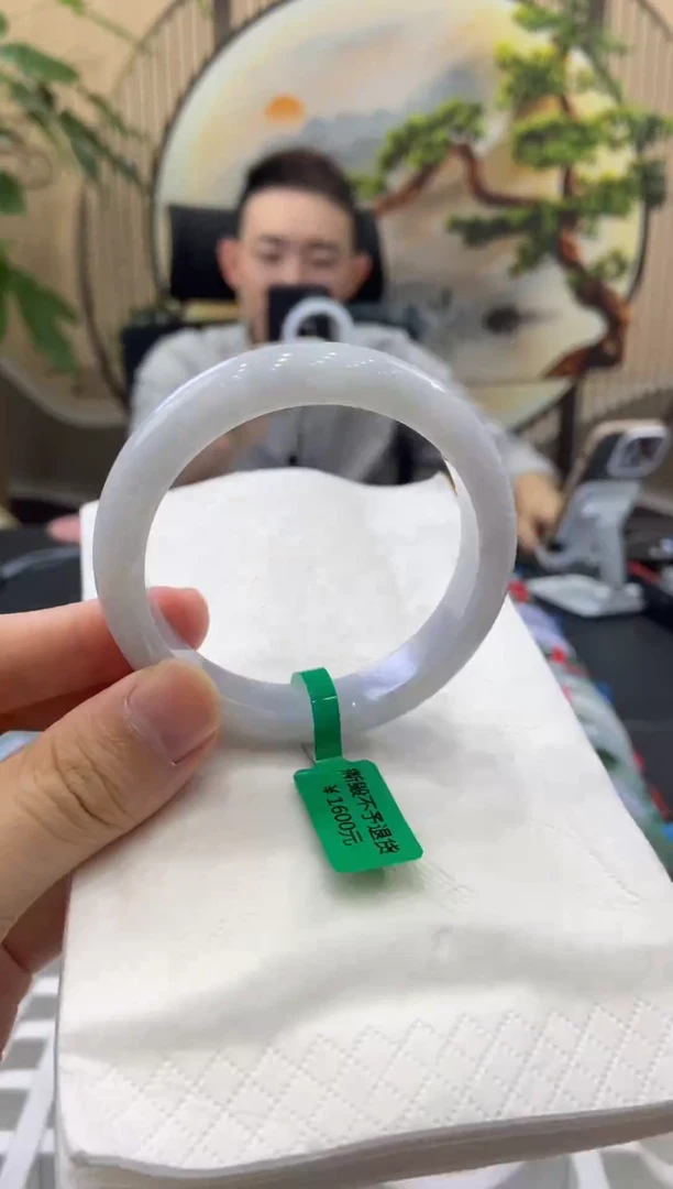 未镶嵌手镯翡翠13