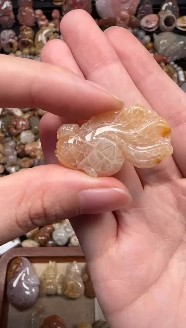 颈饰未镶嵌硅化珊瑚（珊瑚玉）146