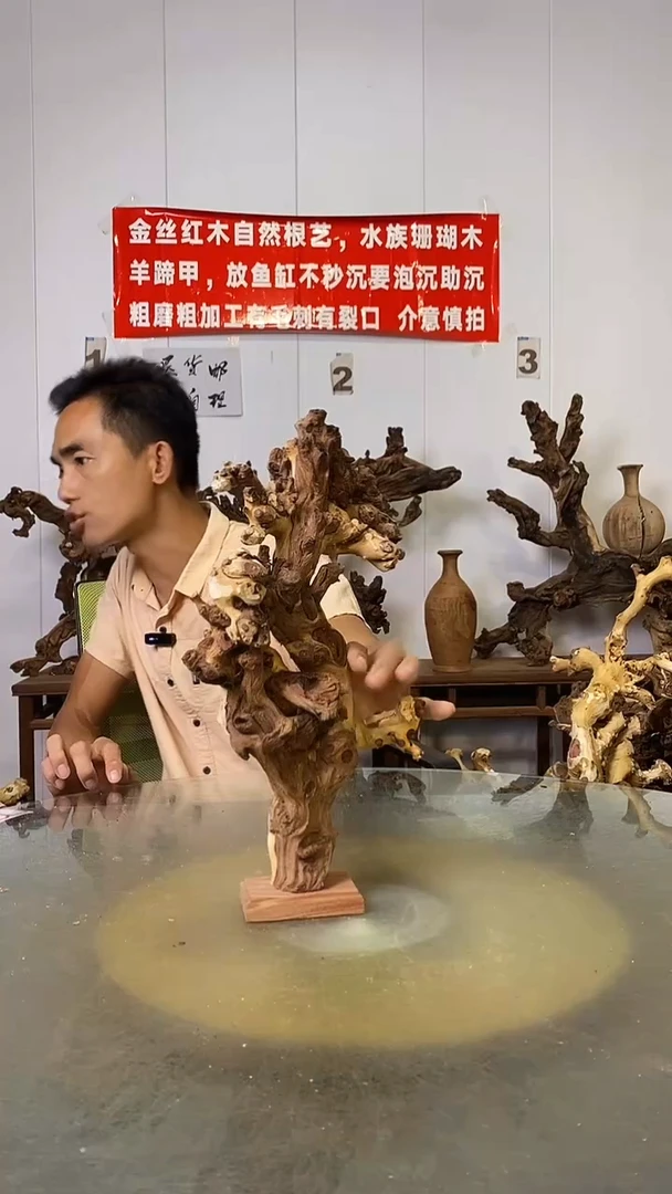 香榧木H*l金丝红木   羊蹄甲