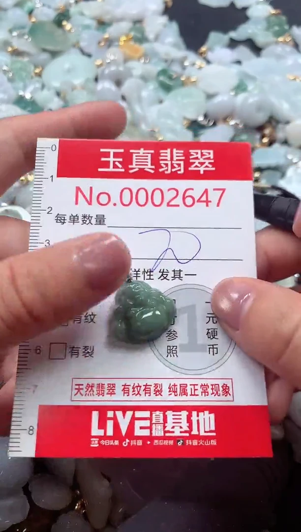 吊坠(不含链)未镶嵌翡翠2647