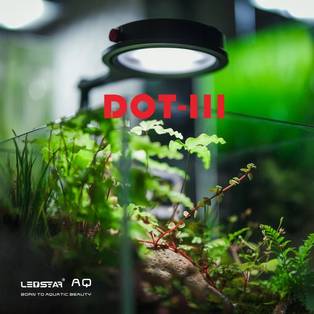 雷思达dot3代植物生长灯微景观灯生态瓶热植鱼缸灯苔藓灯多肉植物