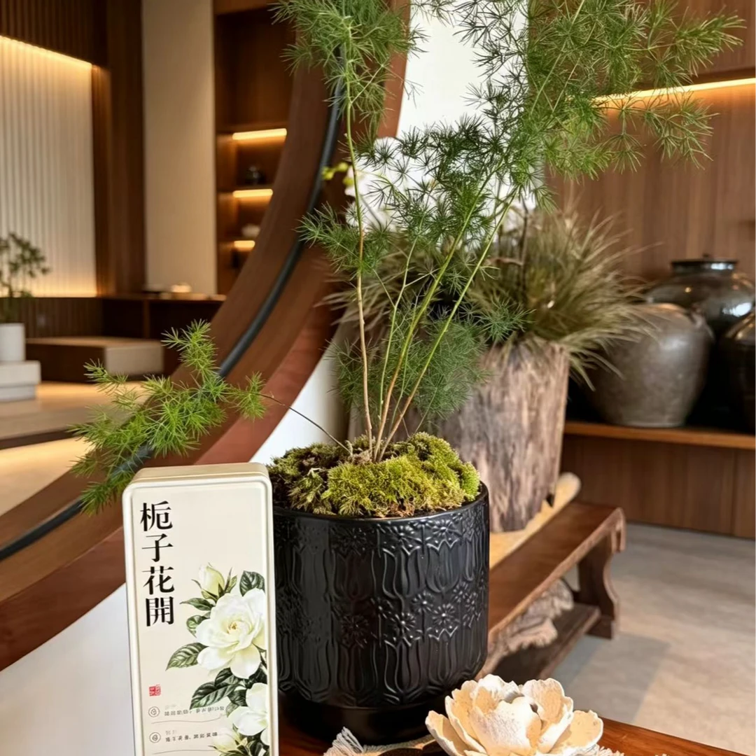 岩中壑 栀子花开 武夷岩茶(8.3*2) 雀舌