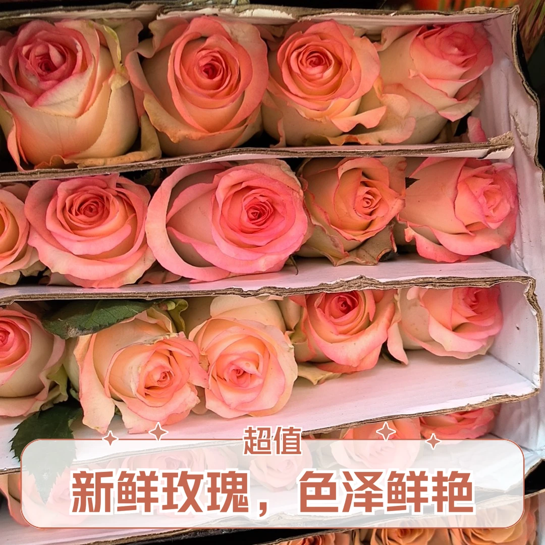 云南玫瑰花（鲜花）20支/扎