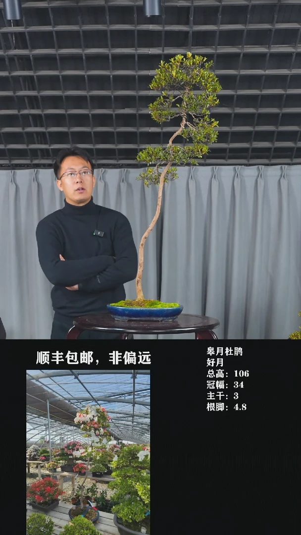 【闪购商品】-好月-T58