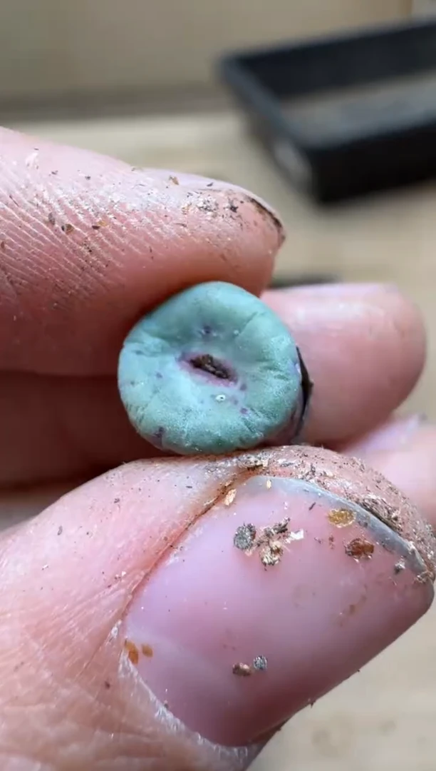 【闪购商品】15-334   2736