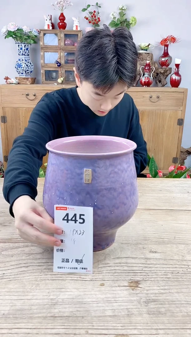 小玩子花盆直播号445