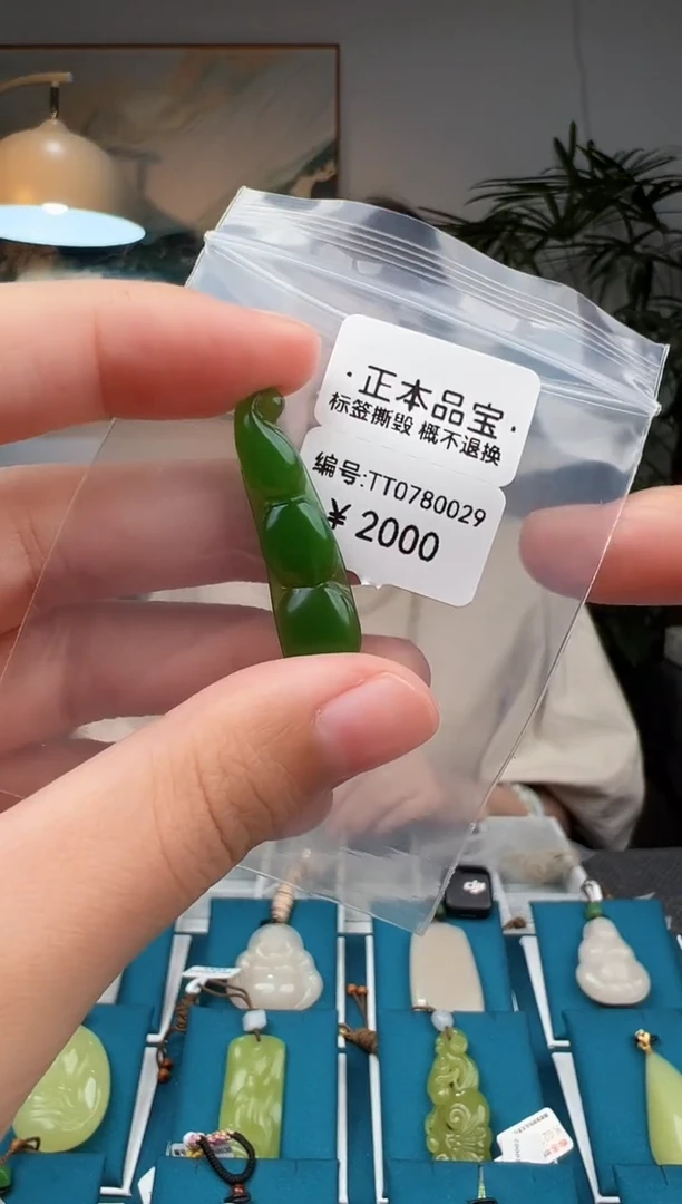 和田玉未镶嵌颈饰吊坠 TT