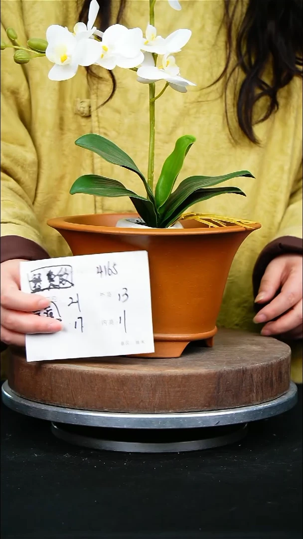 紫砂花盆4165痘痘紫砂花盆