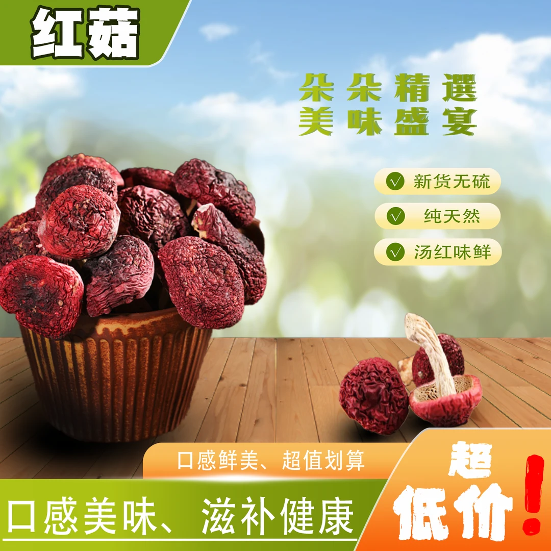 云南野生红菇干货月子菇农家采摘晾晒精品菌菇干货菌菇汤鲜香美味