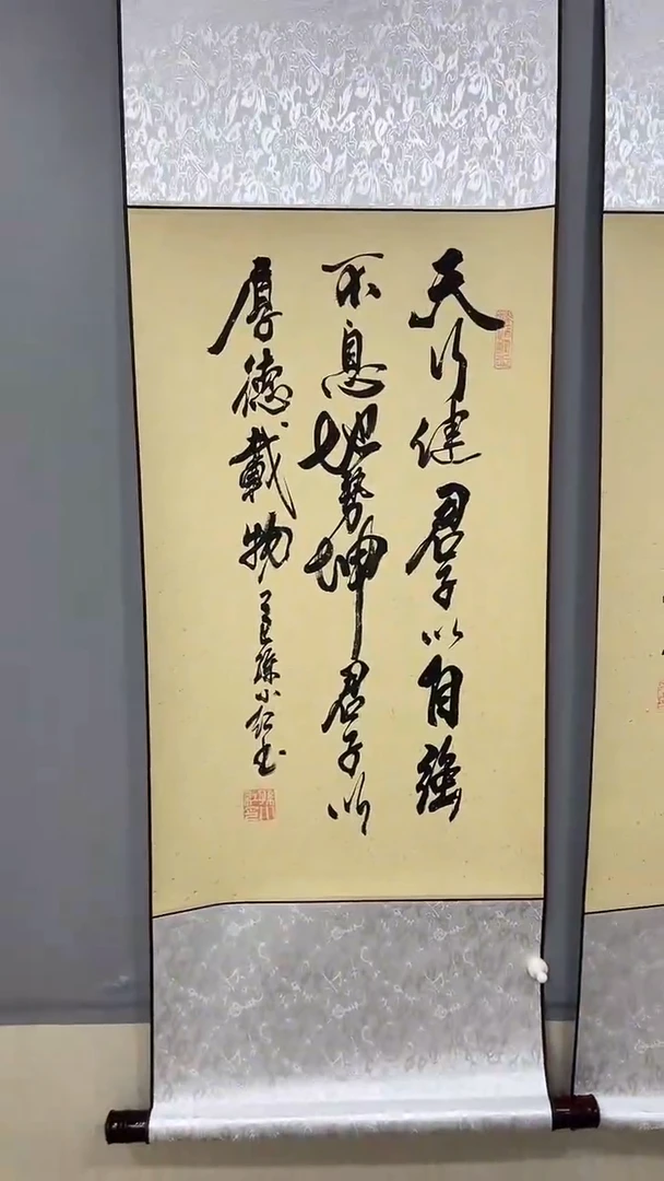 书法孙小红  天行健  110*40