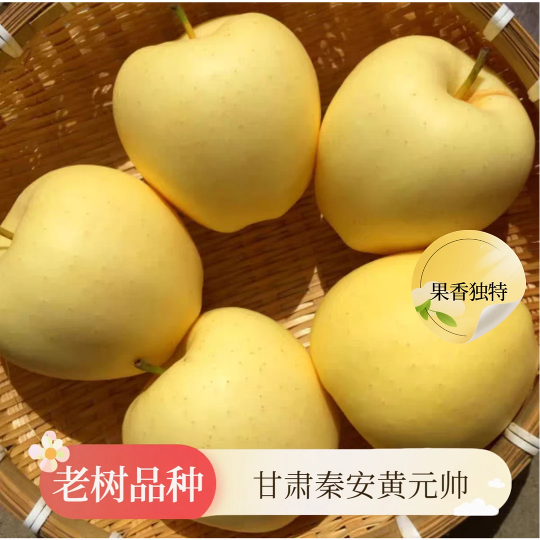 【顺丰快递】甘肃黄元帅苹果香甜多汁 自家果园直发