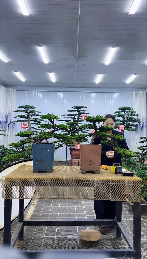 000000000000000000000000000