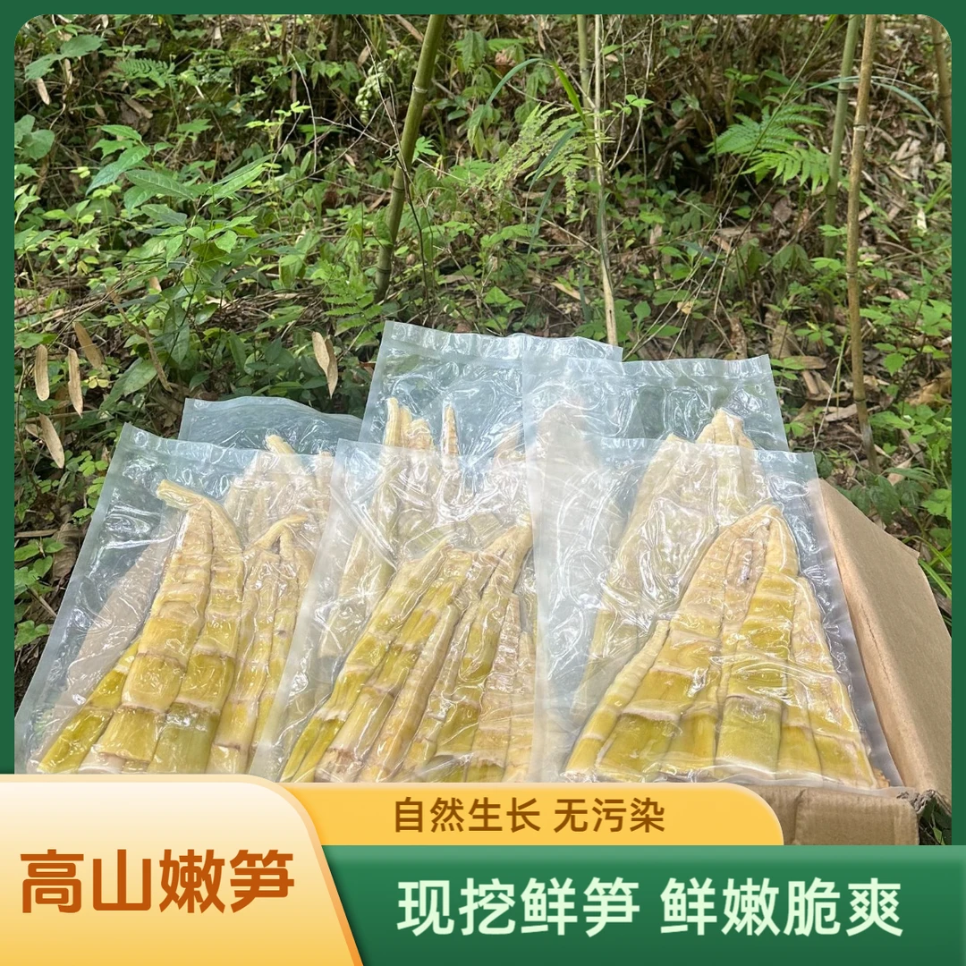 高山鲜笋农家新鲜嫩笋尖笋香嫩脆爽口炒菜火锅