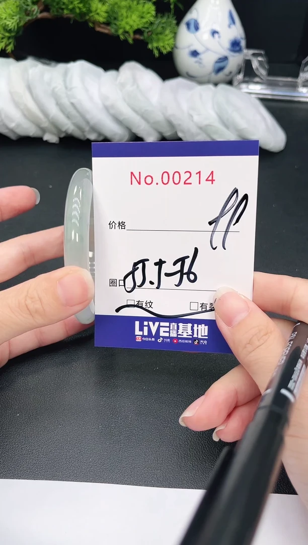 未镶嵌手镯翡翠214