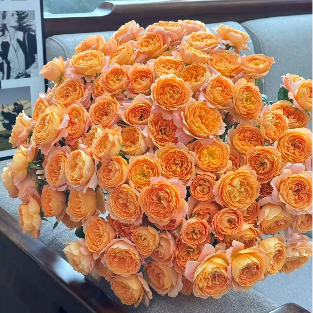 【陌上花开】果汁阳台-多头玫瑰夏日橘子汽水（注意：带包装醒花哦~）