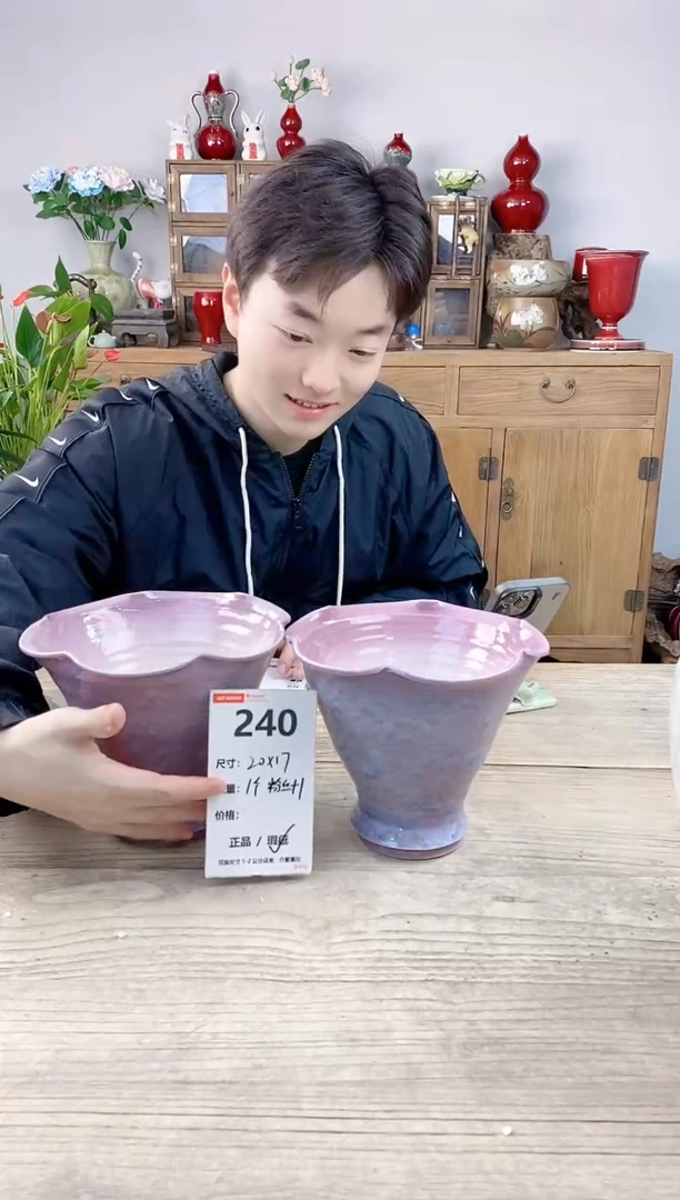 晴好园艺直播编号240