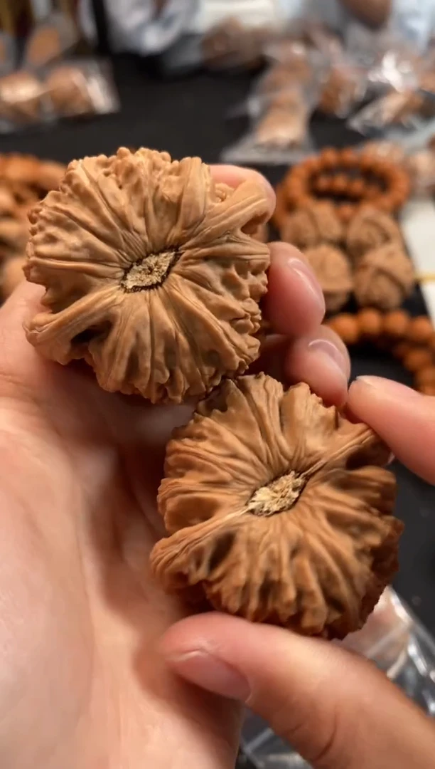 文玩核桃把件白狮子45尺A440