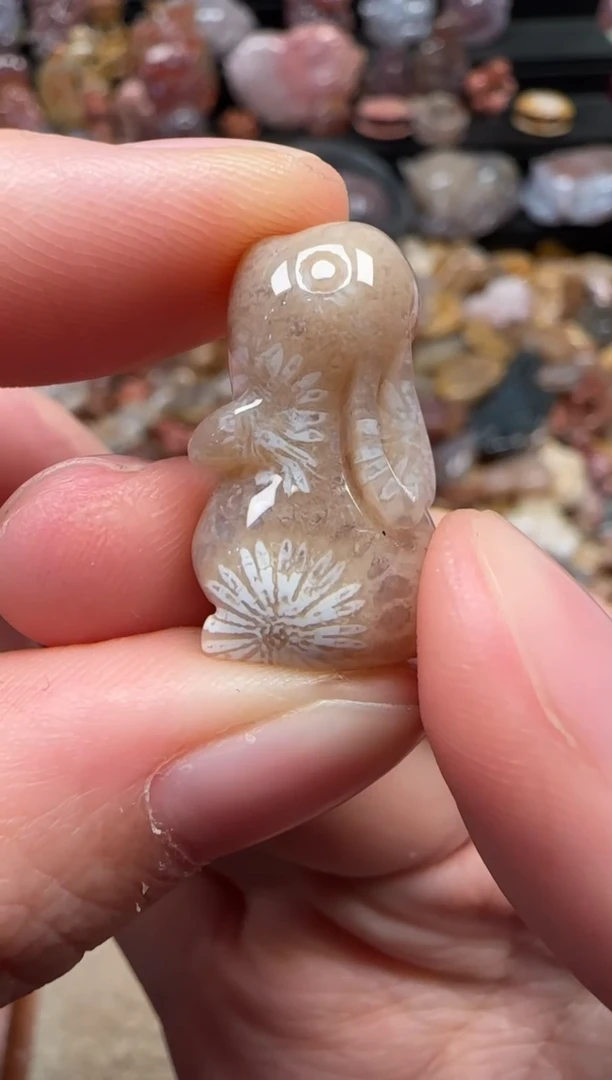 颈饰未镶嵌硅化珊瑚（珊瑚玉）652