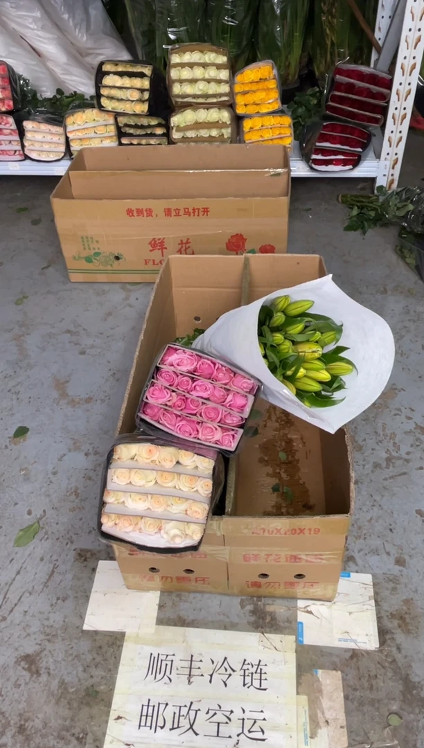 甜蜜雪山20枝+小白兔20枝+双头亚百合10枝