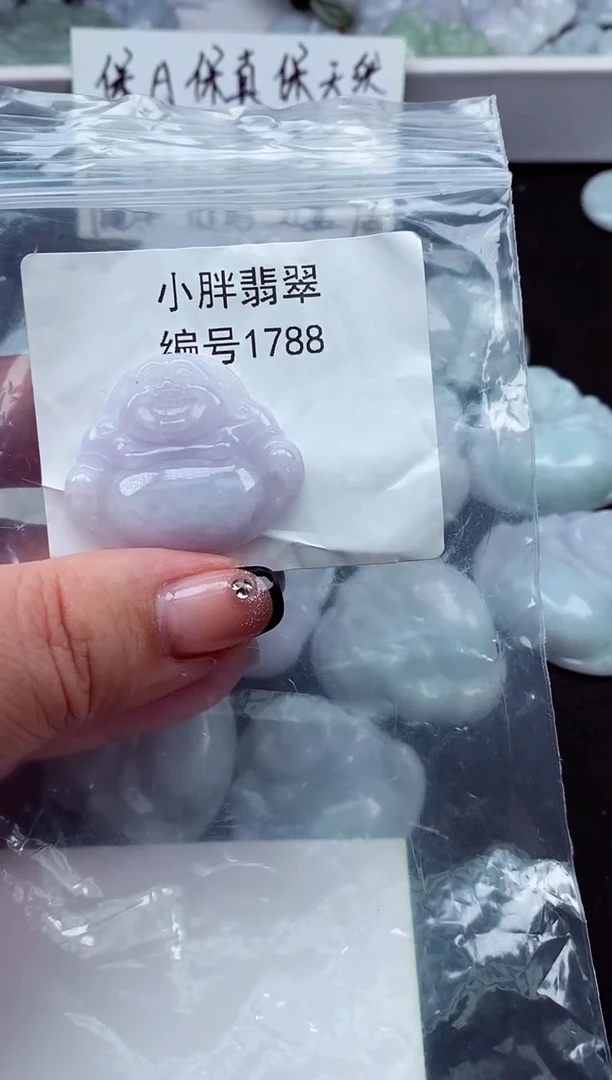 颈饰未镶嵌翡翠缅甸天然A货翡翠1788