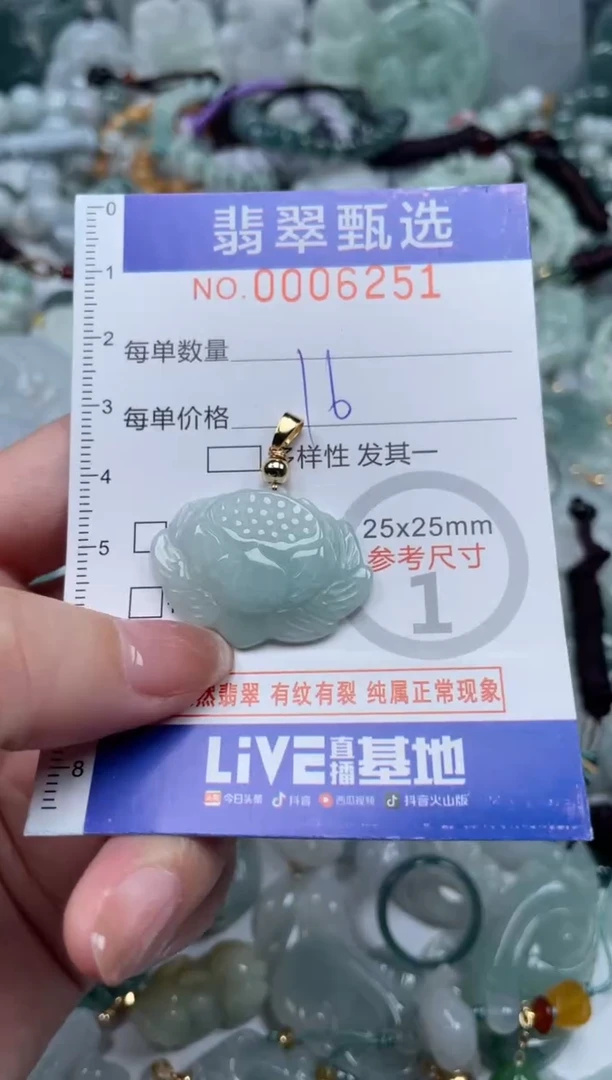 翡翠未镶嵌颈饰00..6251