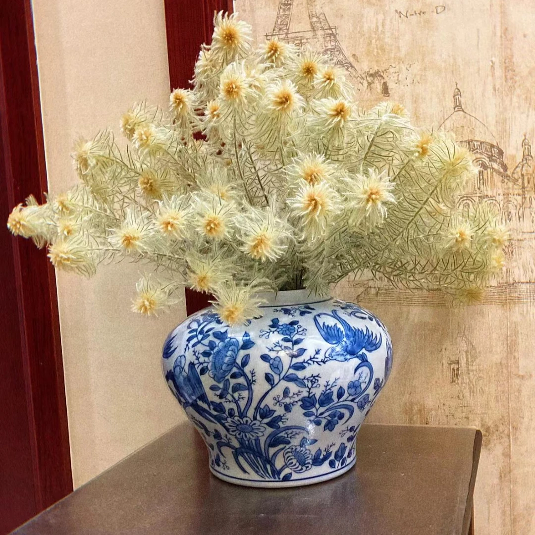 A级小众花材【金鹅绒花】可做干花期长昆明基地直发 顺丰包邮