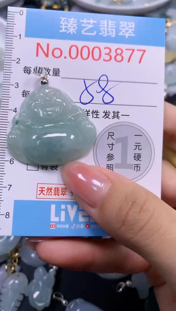 颈饰未镶嵌翡翠3877