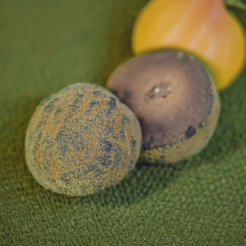 林林橘品16年陈果头化州橘红果源产地直发