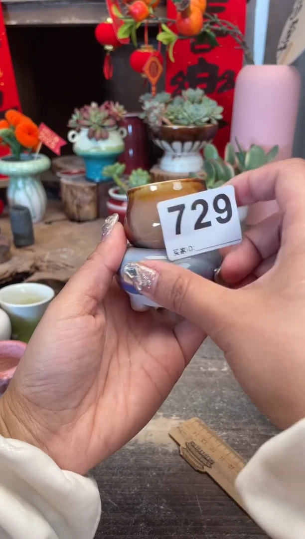 【闪购商品】摆件729福利知木小芳花盆