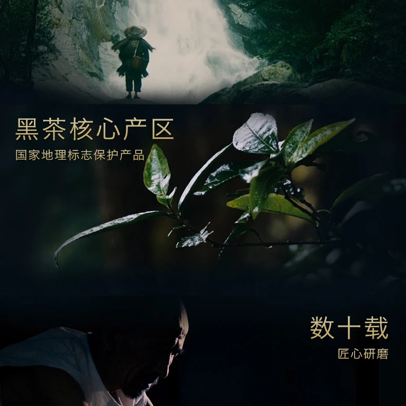 【2014年300克】国津黑茶代拍链接