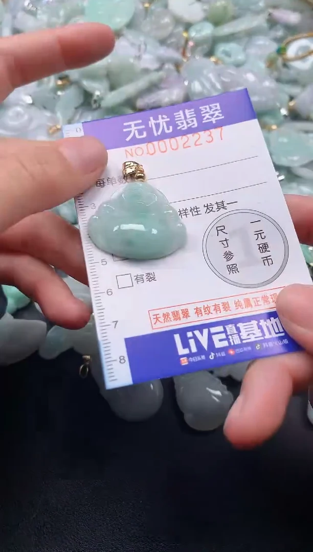 颈饰未镶嵌翡翠2237
