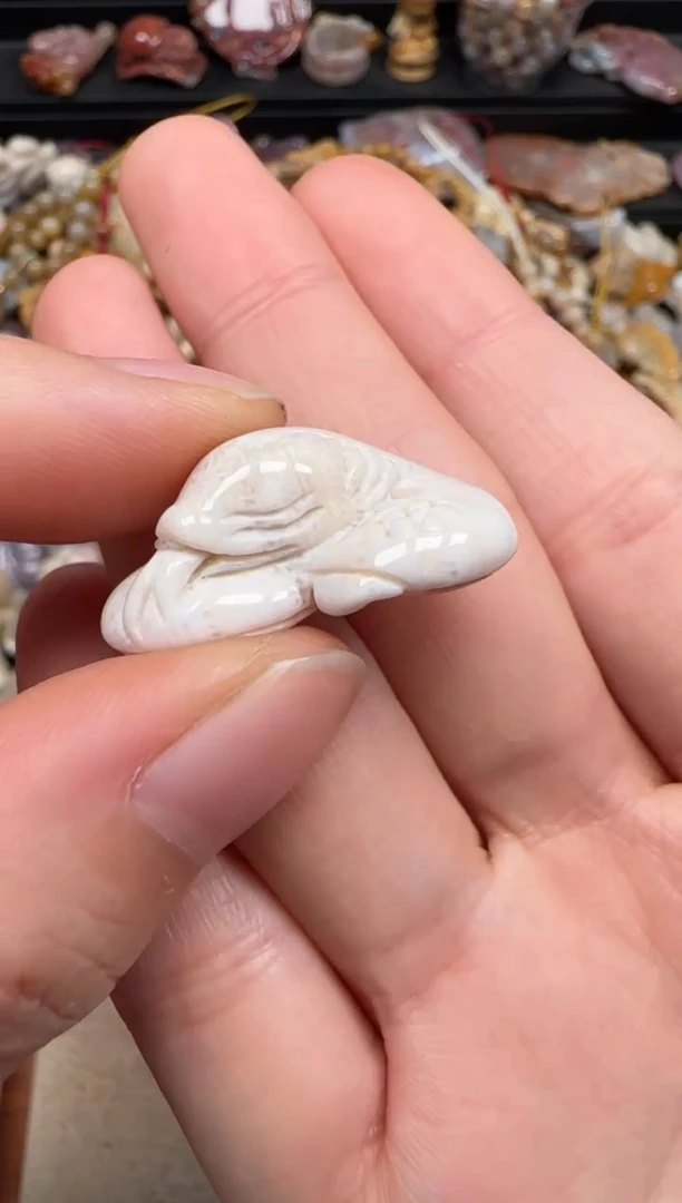 【闪购商品】硅化珊瑚（珊瑚玉）未镶嵌颈饰046