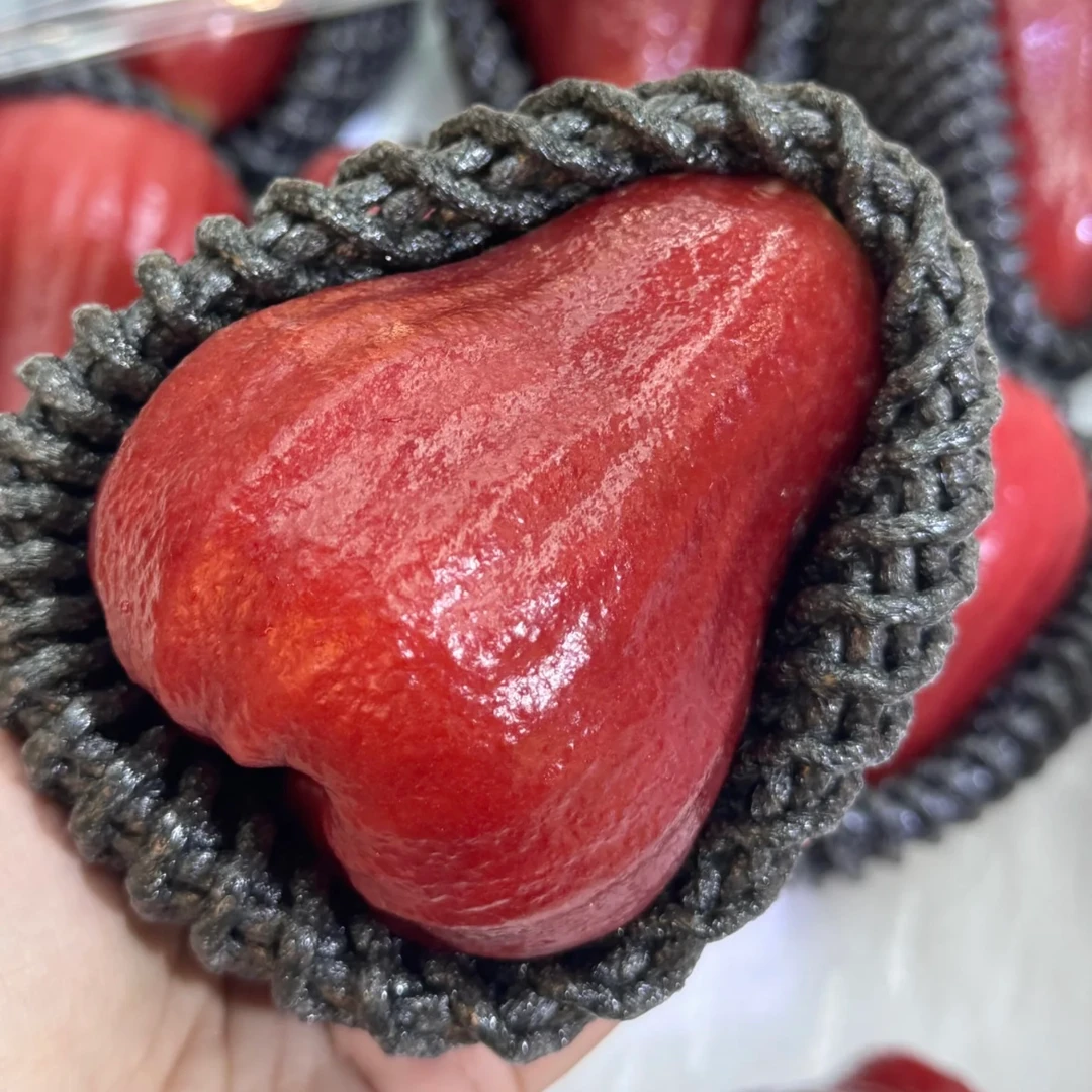 海南黑金刚莲雾（中大果）