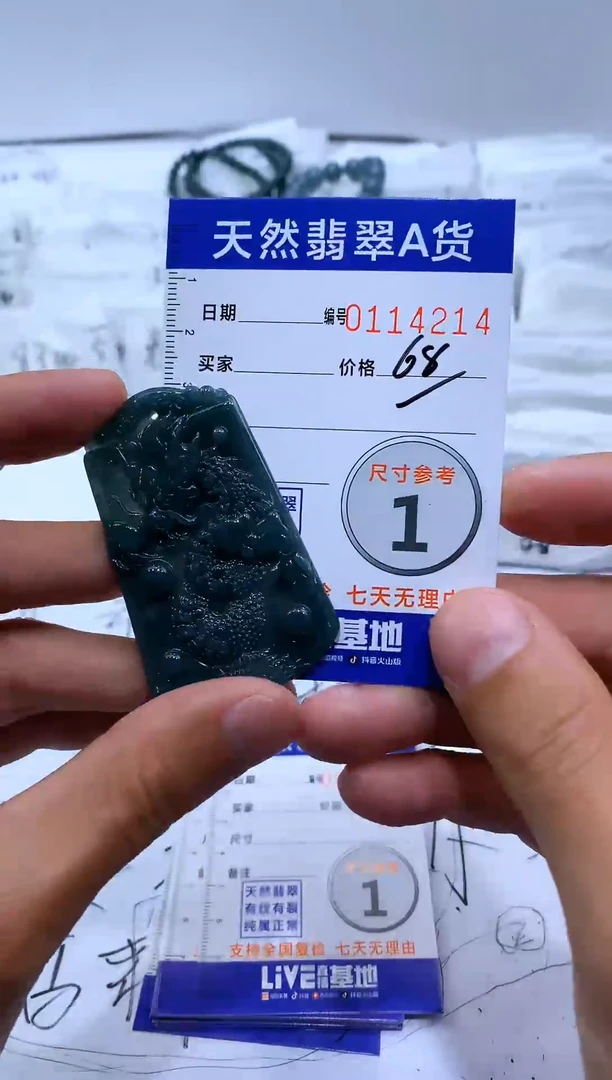 【闪购商品】翡翠颈饰未镶嵌龙牌【品质一般介意慎拍】