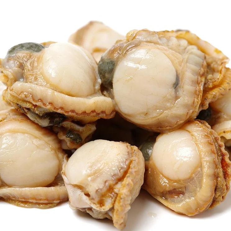 东港扇贝肉 新鲜发货，无泥无沙，5斤装