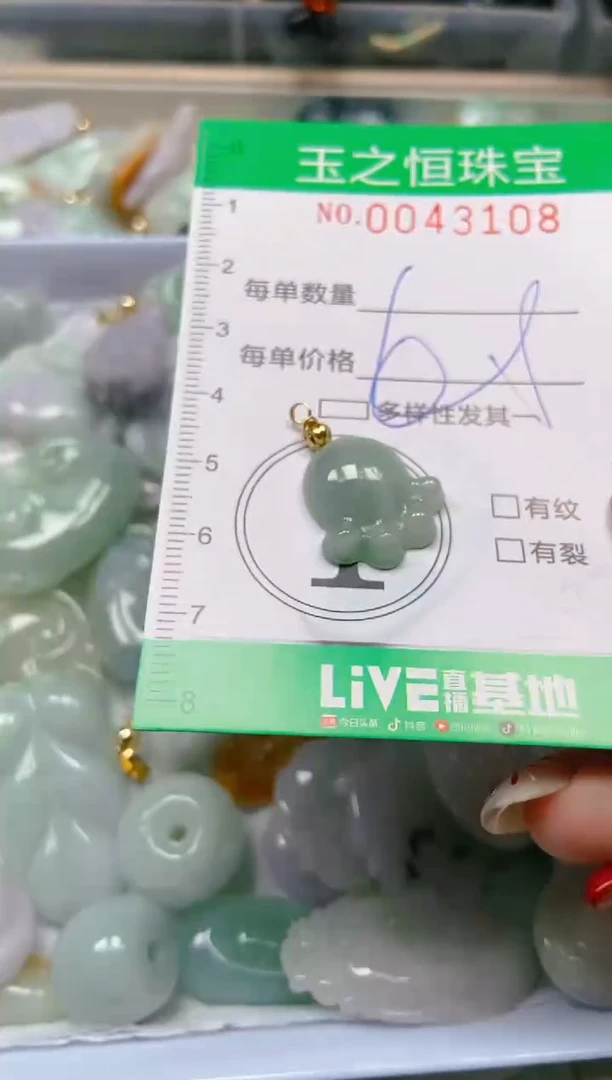 【闪购商品】翡翠颈饰未镶嵌闪购0043108