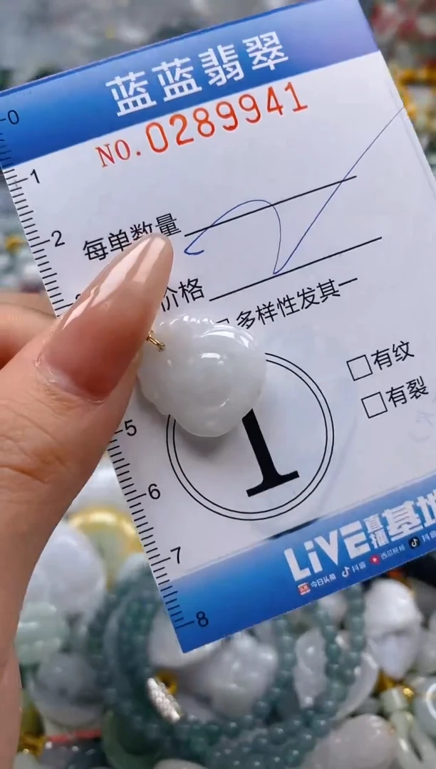 翡翠未镶嵌颈饰闪购0289941