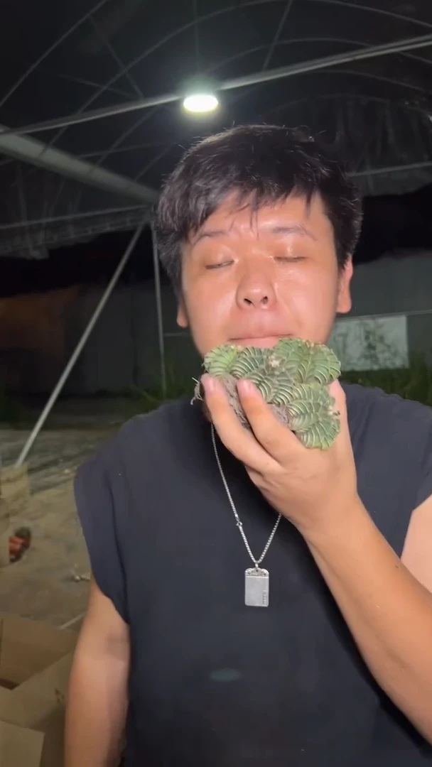 4颗 纯肋骨【实生根】