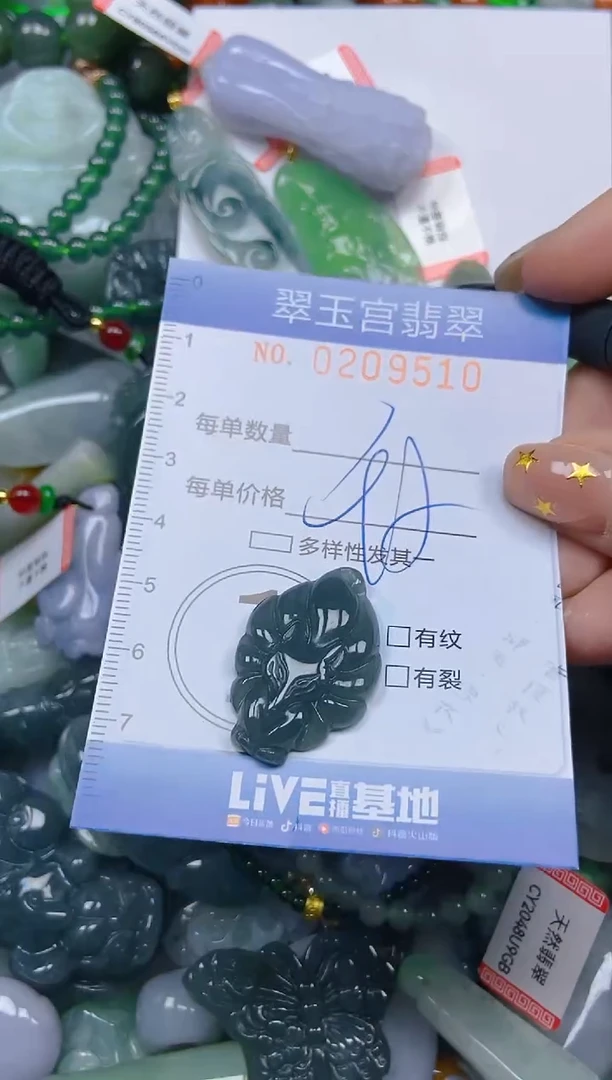 颈饰未镶嵌翡翠闪购C0209510
