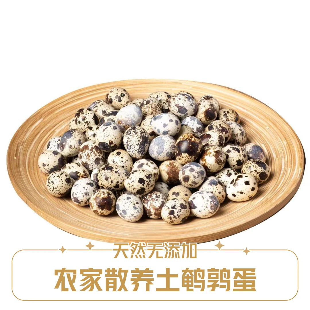 【50粒鹌鹑蛋】鹌鹑蛋生蛋鸟蛋孕妇宝宝辅食蛋农家特产鲜货速发