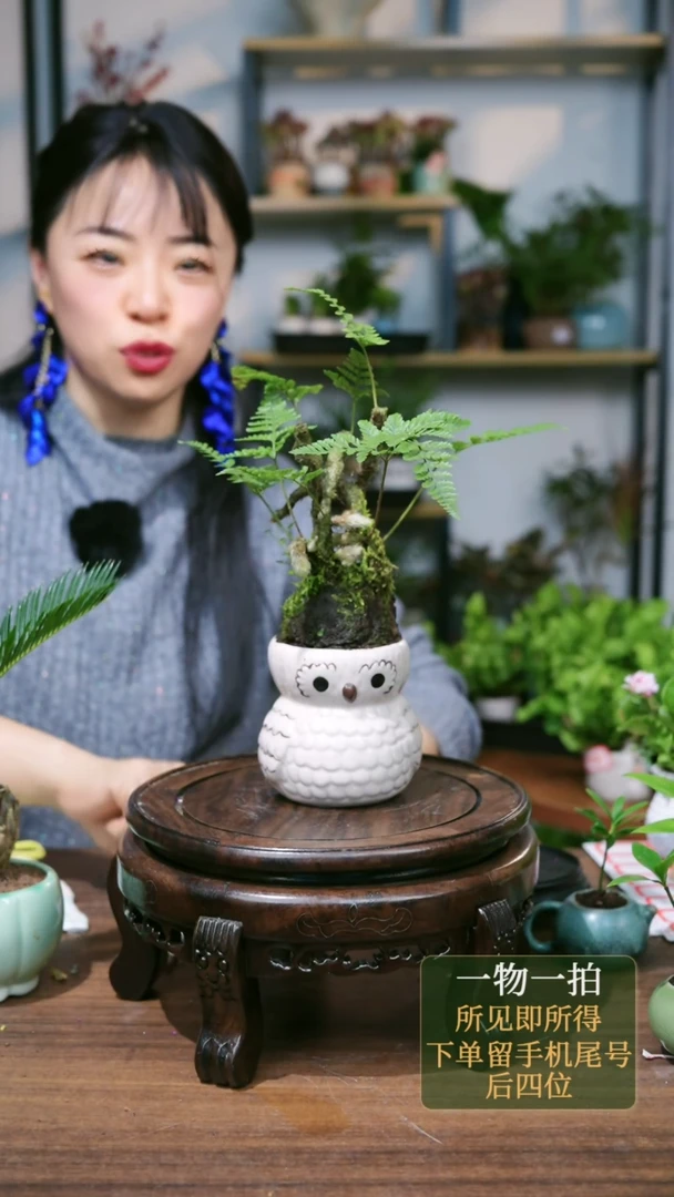 【闪购商品】66--2962葫芦娃