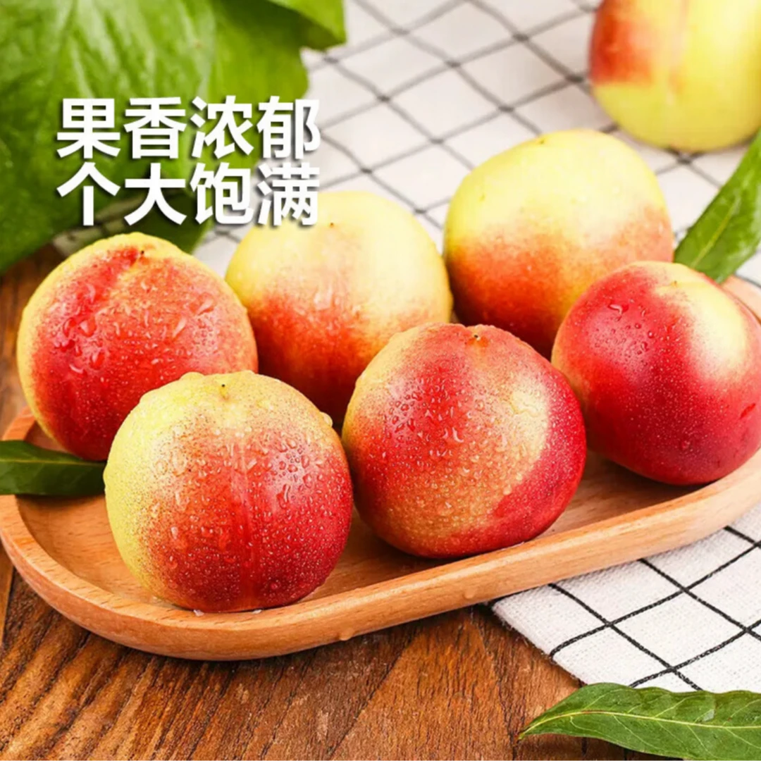 陕西大荔珍珠枣蜜桃枣油桃3/5/8斤脆桃当季新鲜水果桃子陕西省
