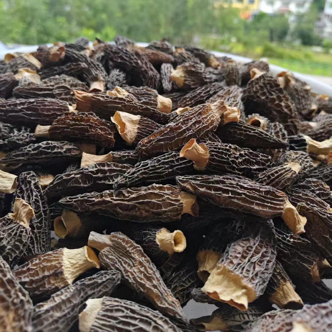 【高山羊肚菌】农家2025年头茬羊肚菌（5-8cm）煲汤好食材汤鲜味美