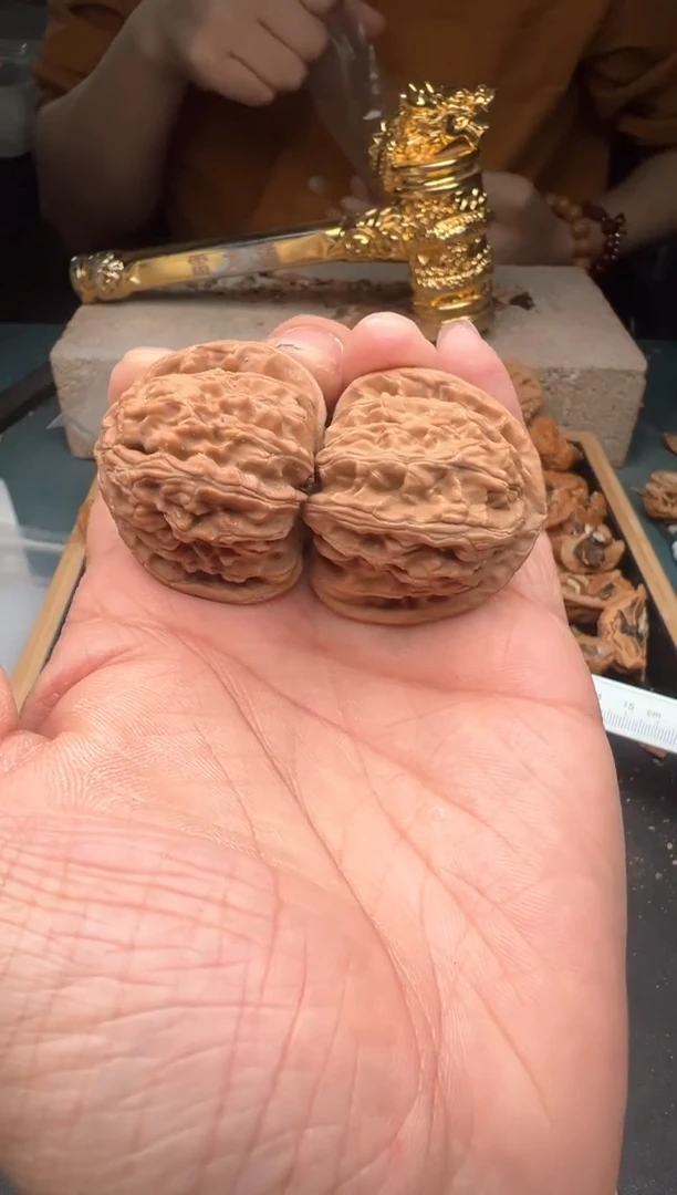 【闪购商品】桃核把件雷龙文玩22-41尺寸三角白有虚尖