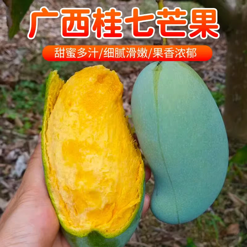 正宗广西百色桂七香芒花皮果现摘现发新鲜水果