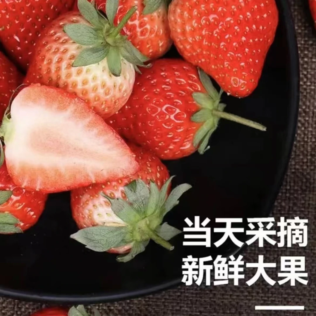 【次日达】南京傅家边红艳草莓果王孕妇新鲜水果1-2斤产地直发 现采现摘