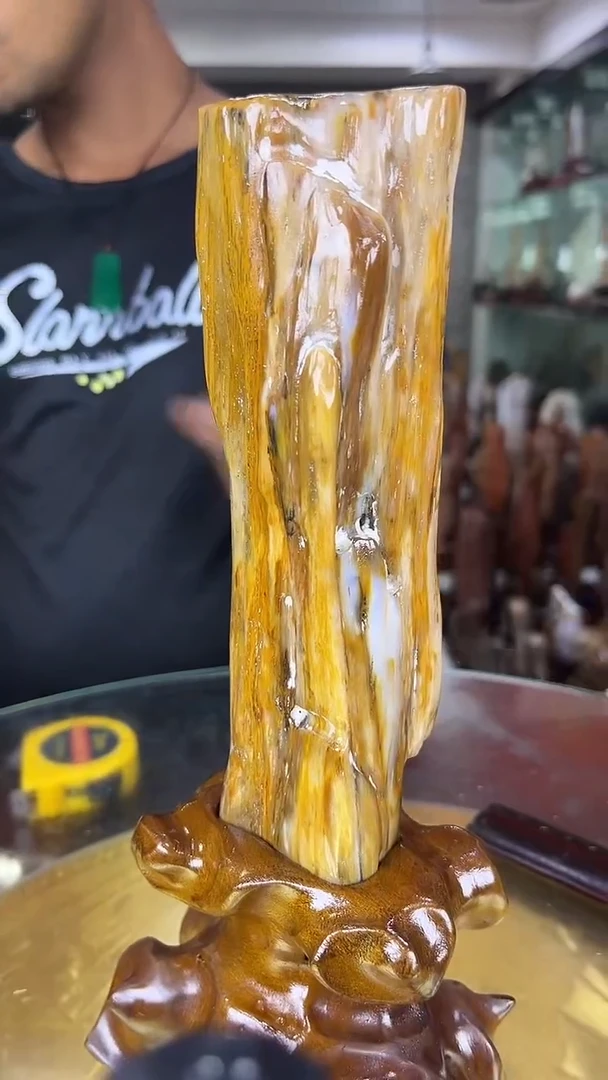 硅化玉珠宝奇石未镶嵌缅甸天然树化玉