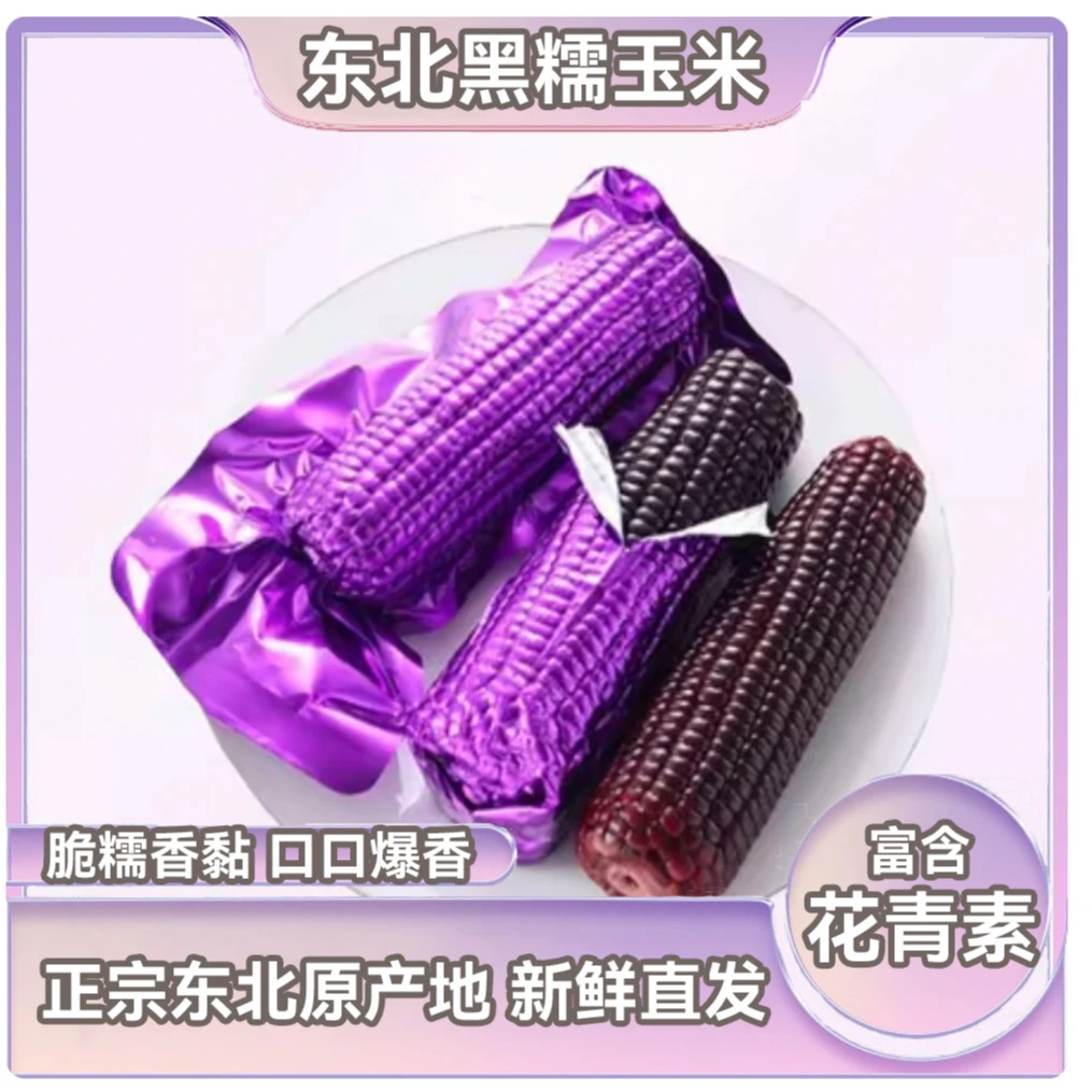 【试吃2根】24年头茬东北黑糯玉米整箱12根6-7斤以上紫铝箔包装