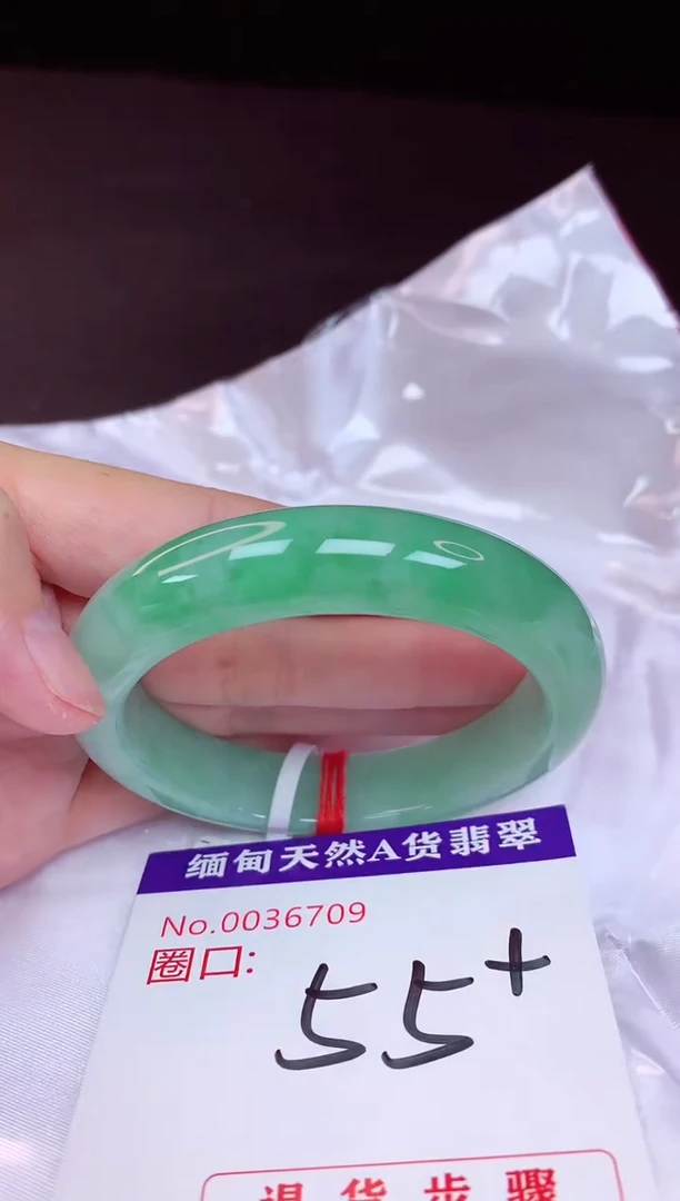 未镶嵌手镯翡翠55+